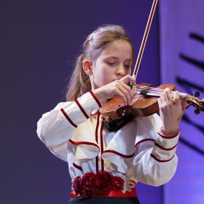 Струнные инструменты  (14)