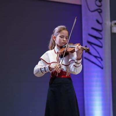 Струнные инструменты  (15)